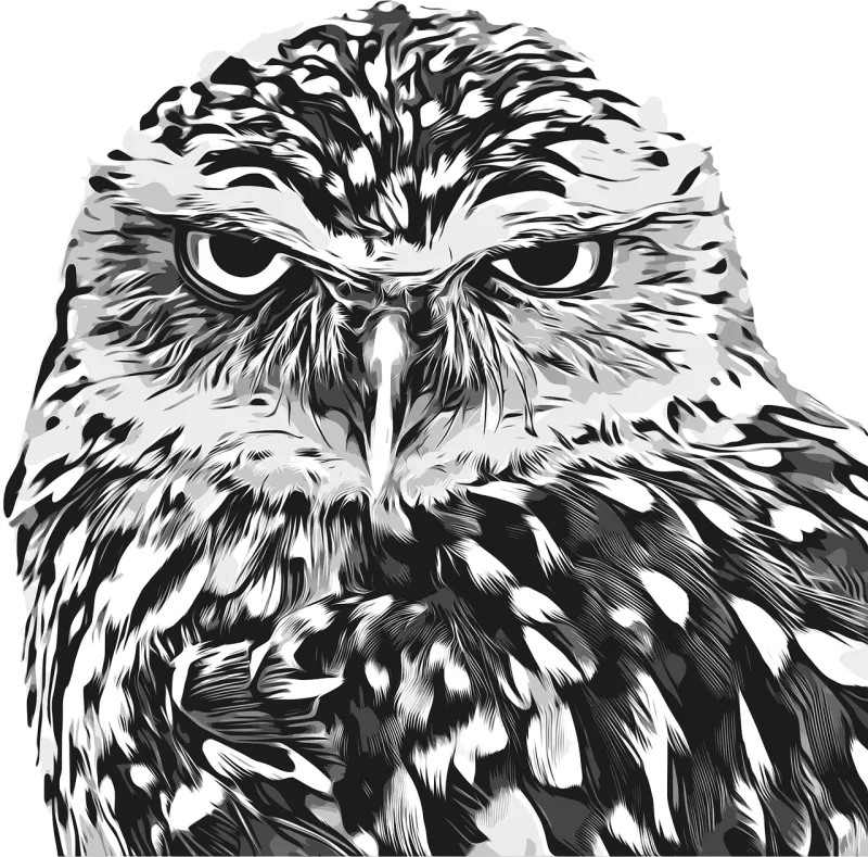 Owl Nocturnal bird Wild animal Stickdatei – Tiere
