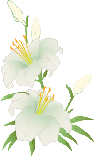 Lilies Beautiful flowers Flower wallpaper Stickdatei