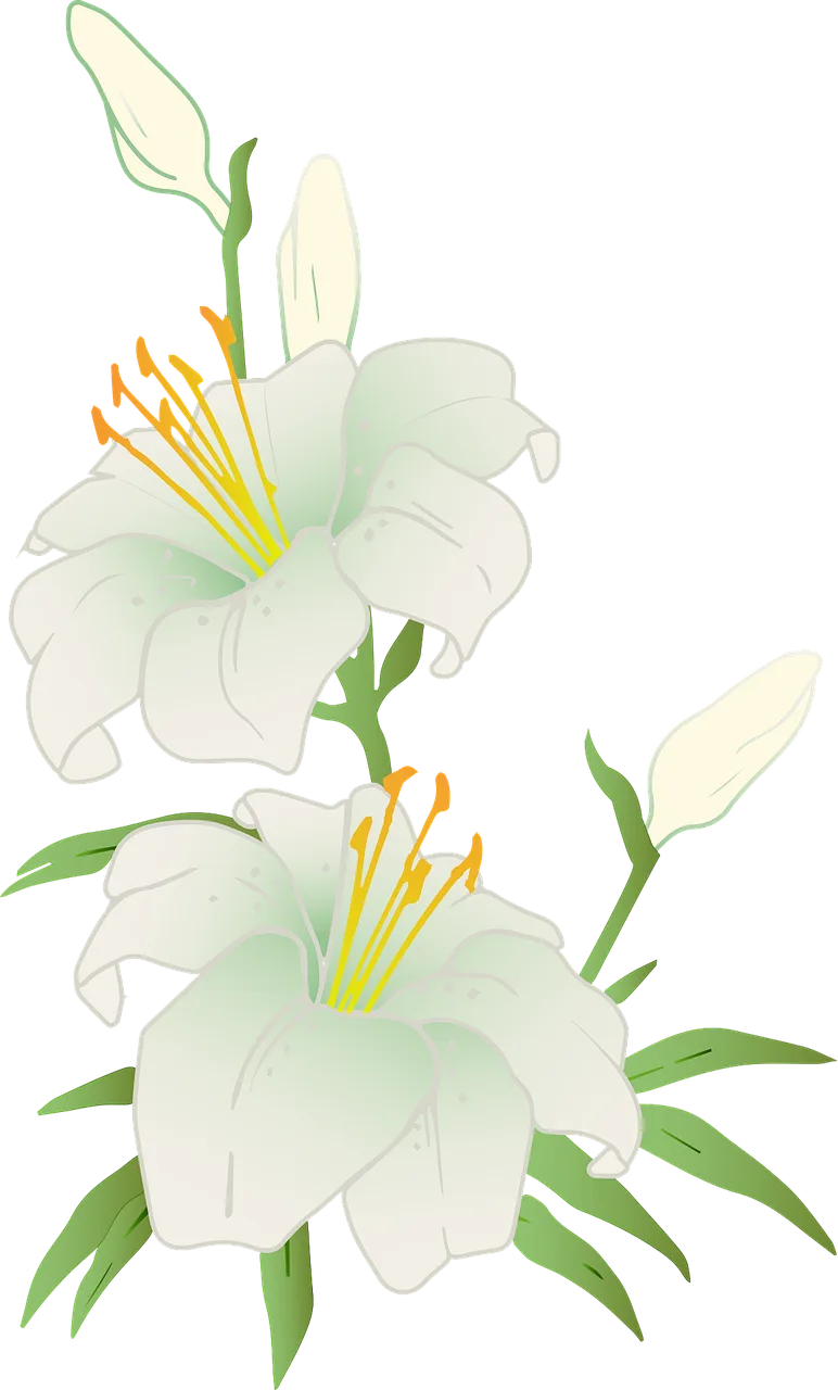 Lilies Beautiful flowers Flower wallpaper Stickdatei – Blumen