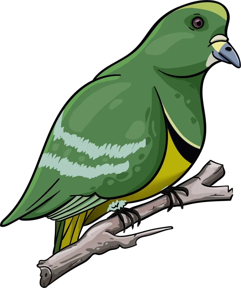 Bird Pigeon Beak Stickdatei – Tiere