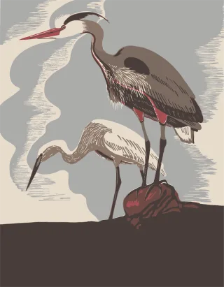 Herons Birds Animals Stickdatei