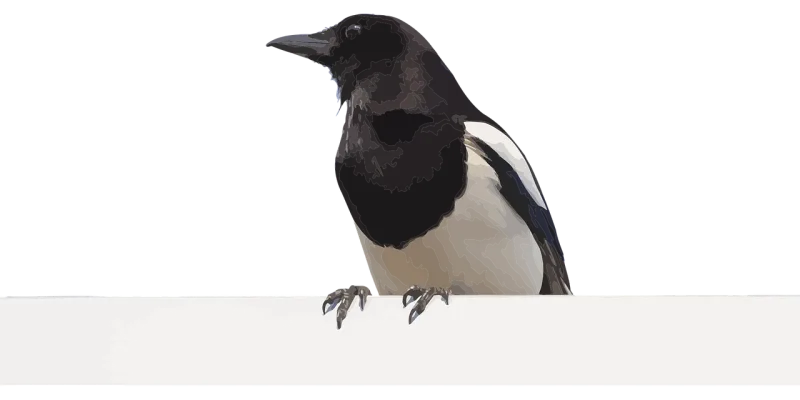 Bird Magpie Crow Stickdatei – Natur