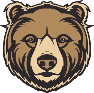 Bear Bear face Wildlife Stickdatei