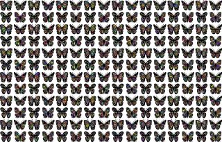 Butterflies Insects Background Stickdatei