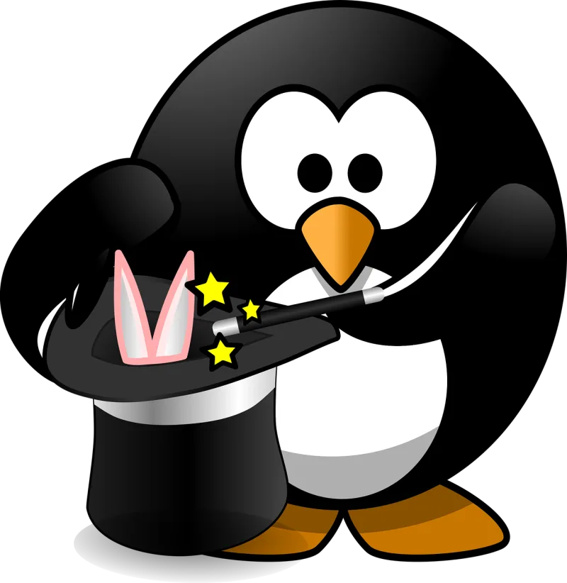 Magic Magician Bird Stickdatei – Tiere