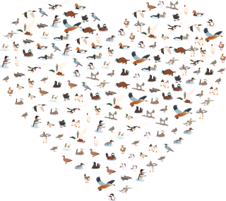 Ducks Heart Love Stickdatei
