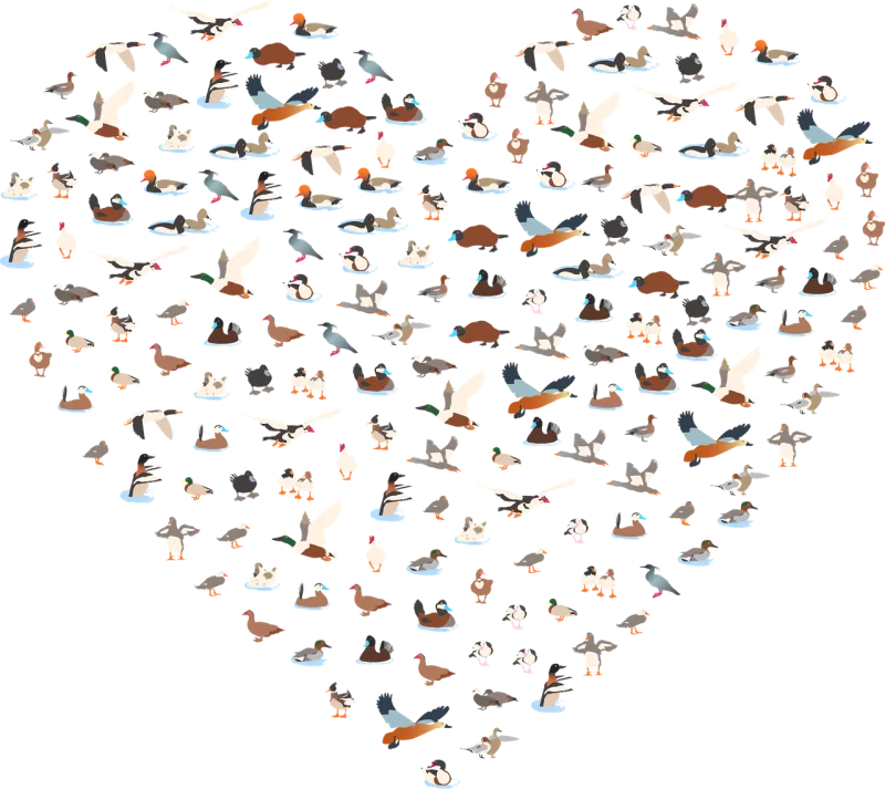 Ducks Heart Love Stickdatei – Herzen & Liebe