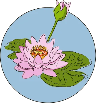 Water lily Flower Nature Stickdatei