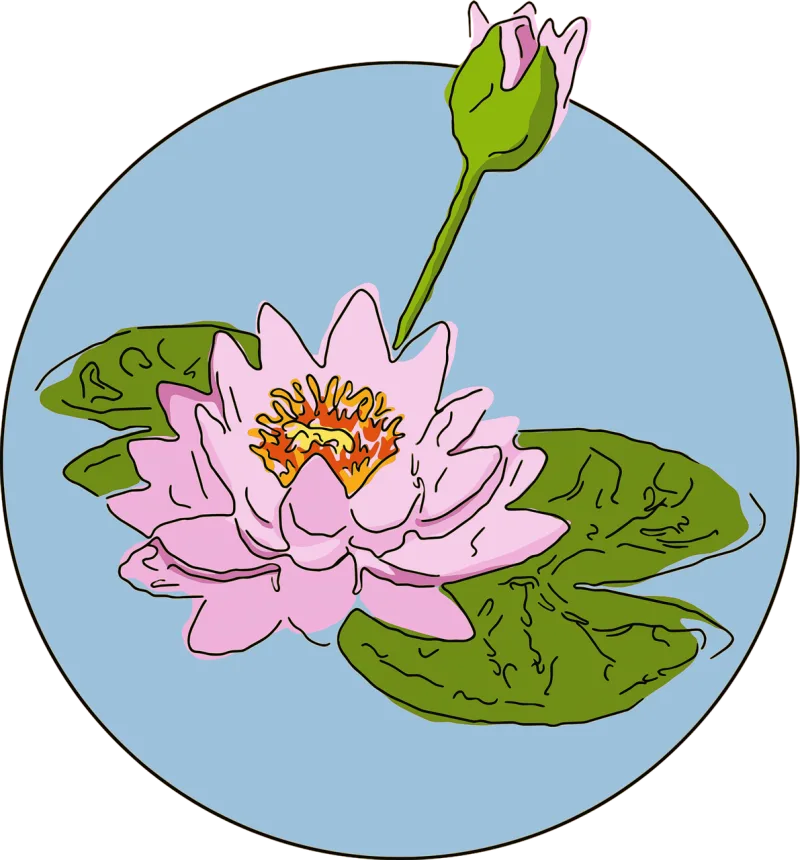 Water lily Flower Nature Stickdatei – Blumen