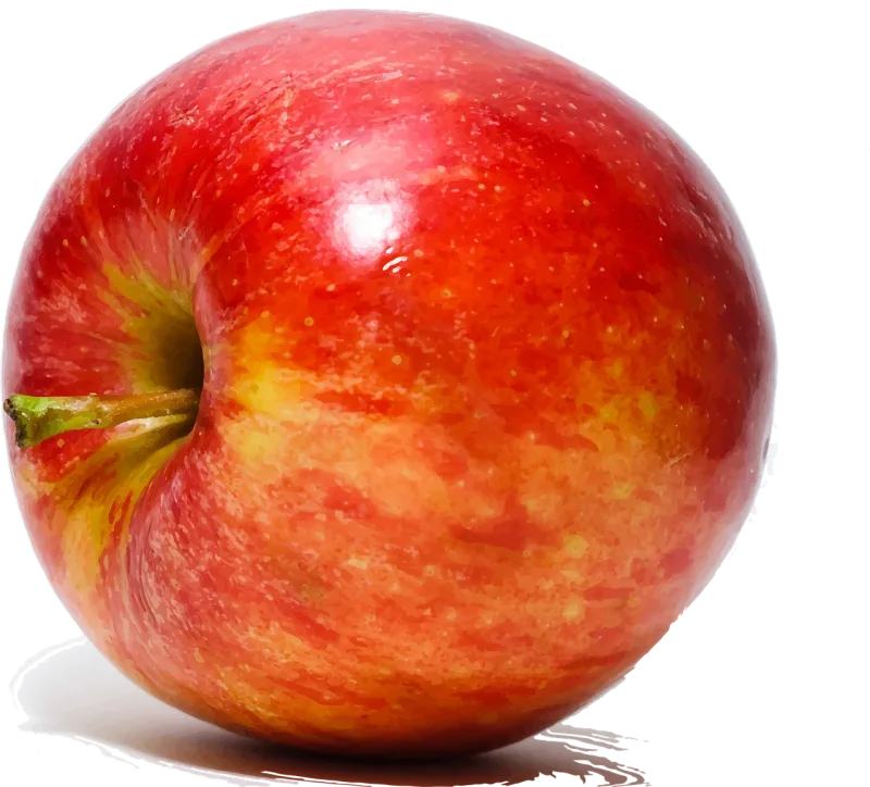 Apple Fruit Close-up Stickdatei – Essen & Trinken