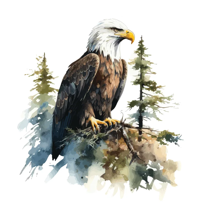 American bald eagle Nature Bird Stickdatei – Tiere