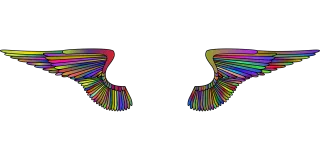 Wings Feathers Flying Stickdatei – Weihnachten