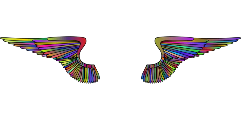 Wings Feathers Flying Stickdatei – Weihnachten