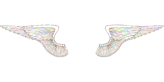 Wings Feathers Flying Stickdatei