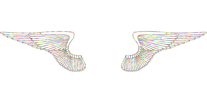 Wings Feathers Flying Stickdatei – Weihnachten