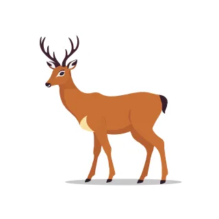 Doe Deer Mammal Stickdatei