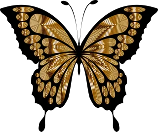 Butterfly Wings Insect Stickdatei