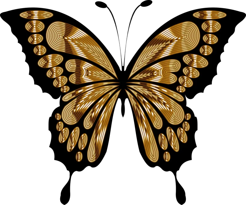 Butterfly Wings Insect Stickdatei – Tiere