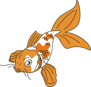 Goldenfish Koi Fish Stickdatei
