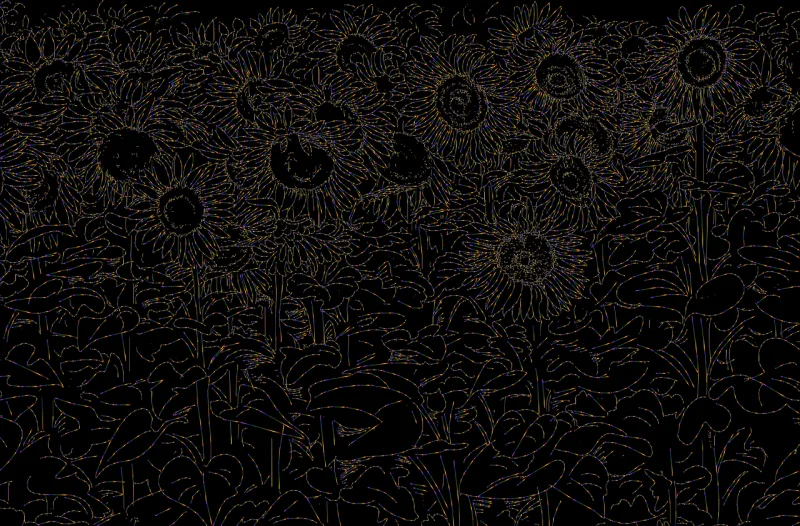 Flowers Floral background Beautiful wallpaper Stickdatei – Blumen