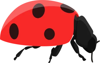 Ladybug Bug Beetle Stickdatei