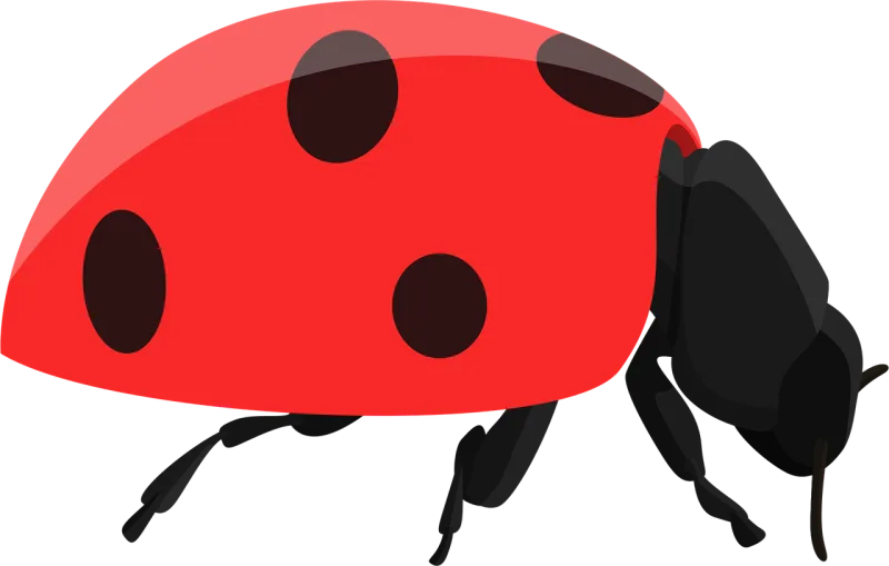 Ladybug Bug Beetle Stickdatei – Tiere