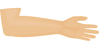 Arm Hand Person Stickdatei
