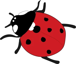 Ladybug Red Nature Stickdatei