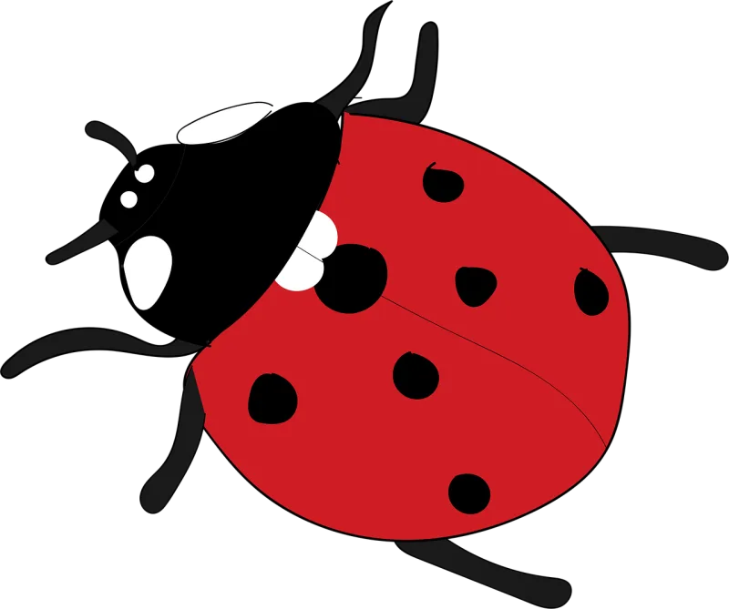 Ladybug Red Nature Stickdatei – Tiere
