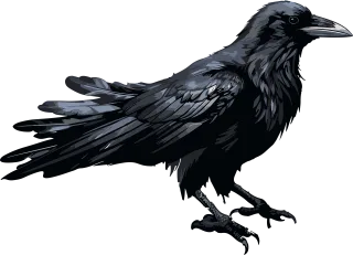 Bird Black Raven Stickdatei
