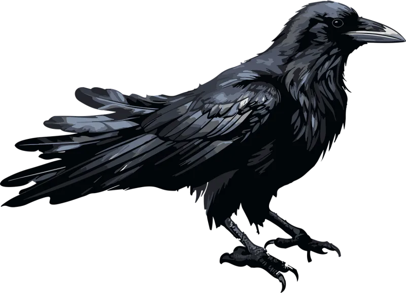 Bird Black Raven Stickdatei – Tiere