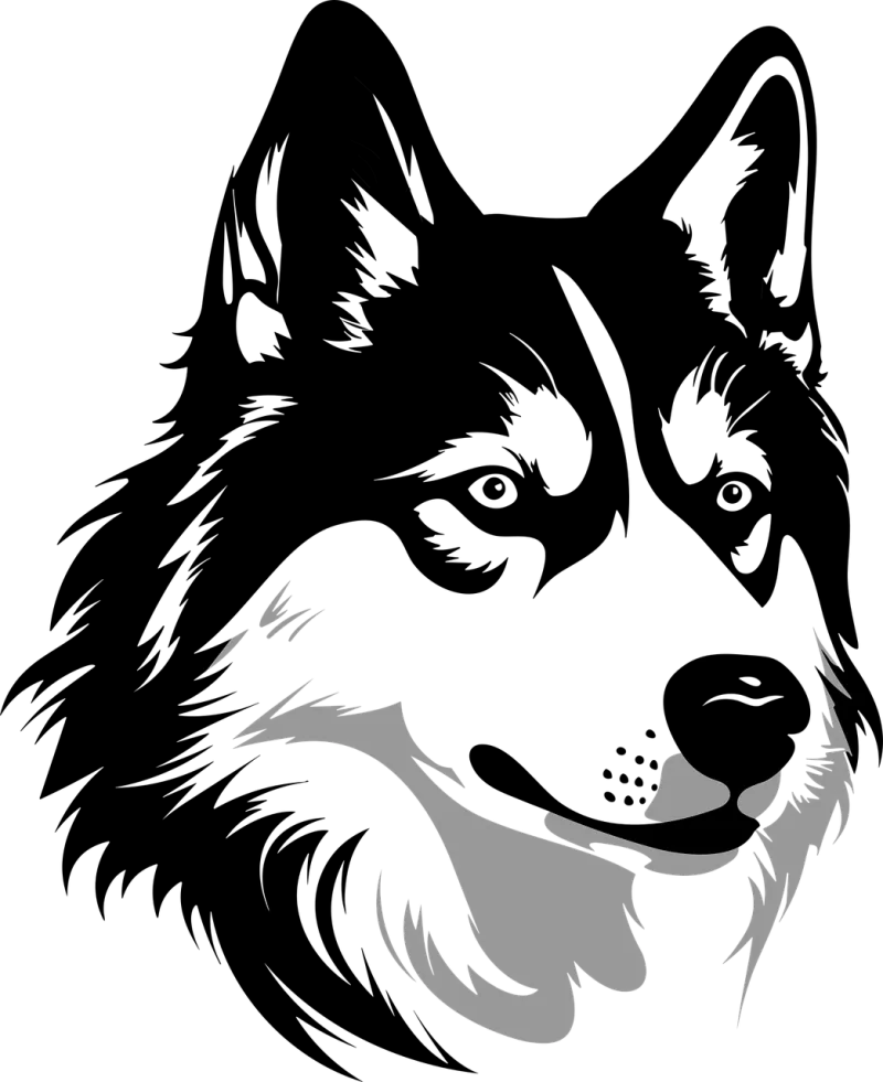Husky Dog Alaskan Stickdatei – Tiere