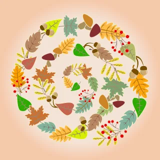 Leaves Mushrooms Acorns Stickdatei