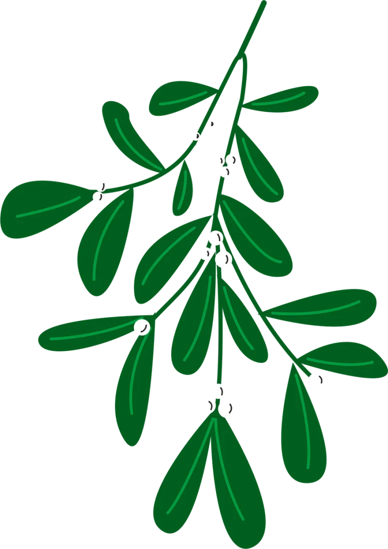Mistletoe Leaves Christmas Stickdatei – Herzen & Liebe