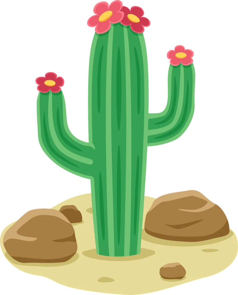 Cactus Desert Nature Stickdatei – Natur