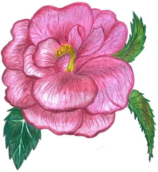 Rose Flower background Flower Stickdatei