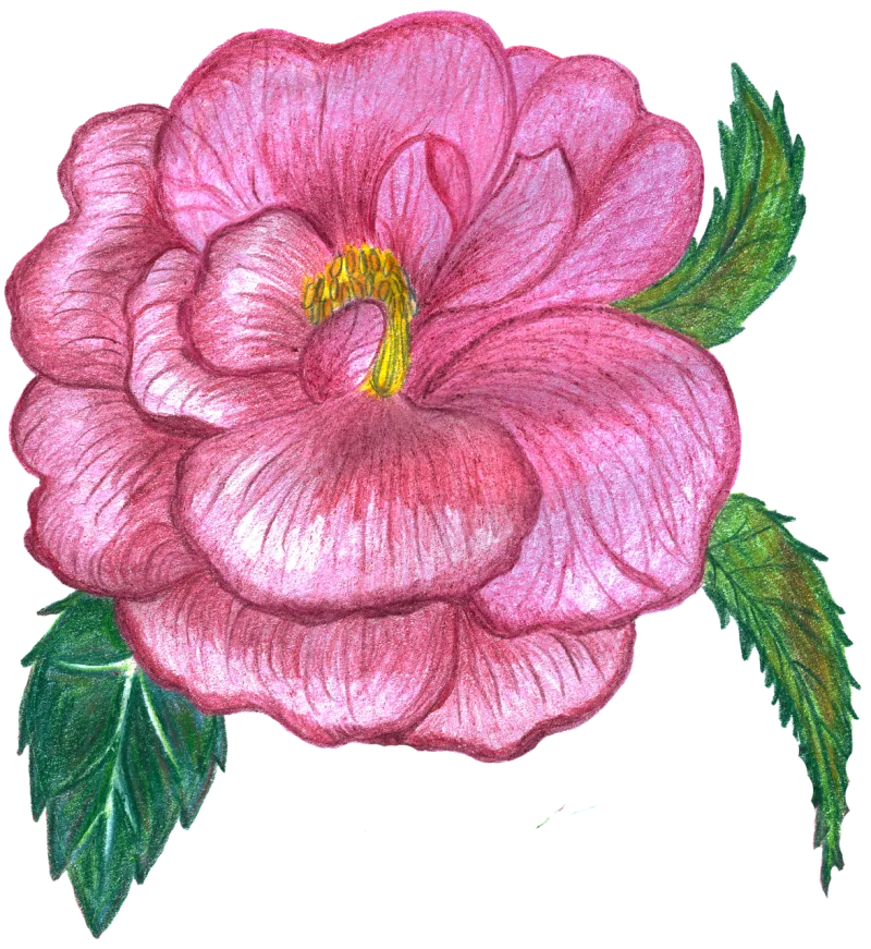 Rose Flower background Flower Stickdatei – Blumen