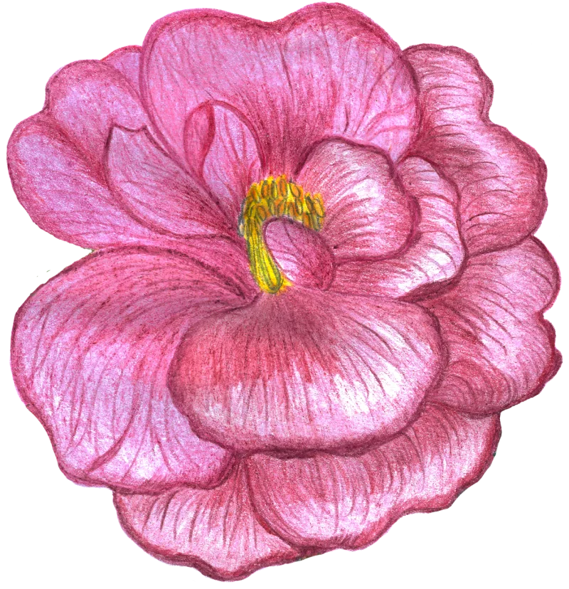 Rose Flower Watercolor Stickdatei – Blumen