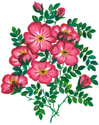 Roses Flowers Watercolor Stickdatei