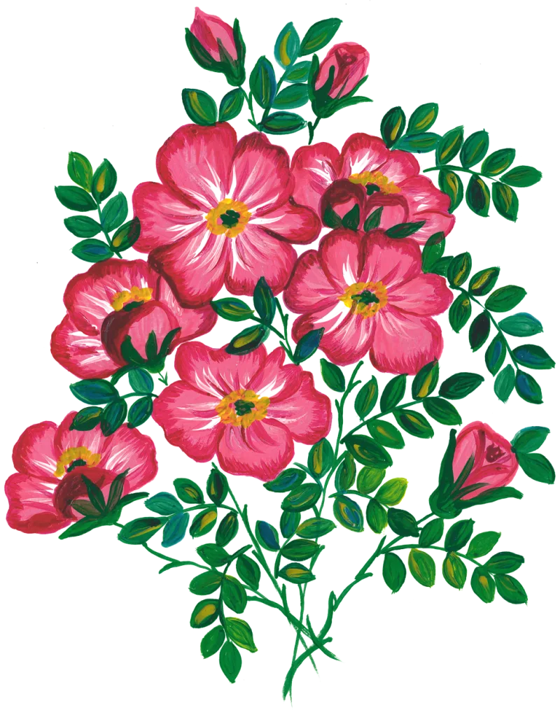 Roses Flowers Watercolor Stickdatei – Blumen