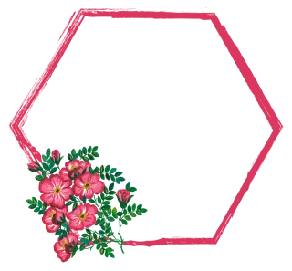 Roses Flowers Border Stickdatei