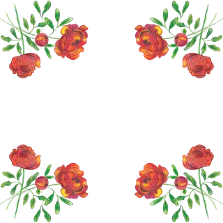 Roses Flowers Watercolor Stickdatei