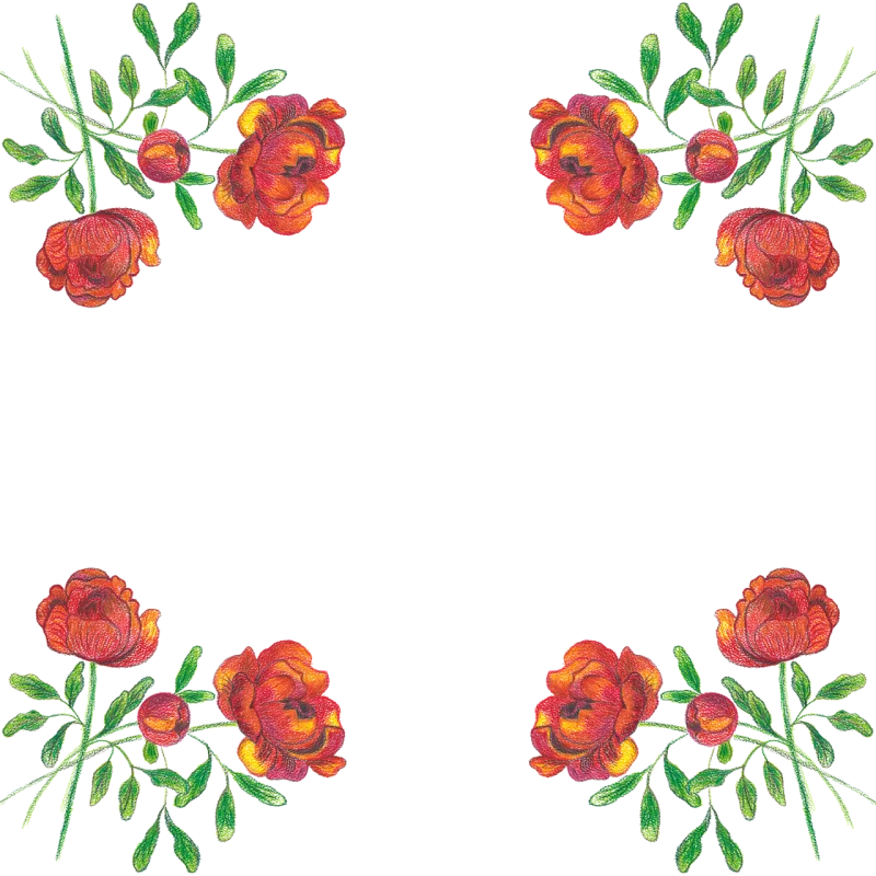 Roses Flowers Watercolor Stickdatei – Blumen