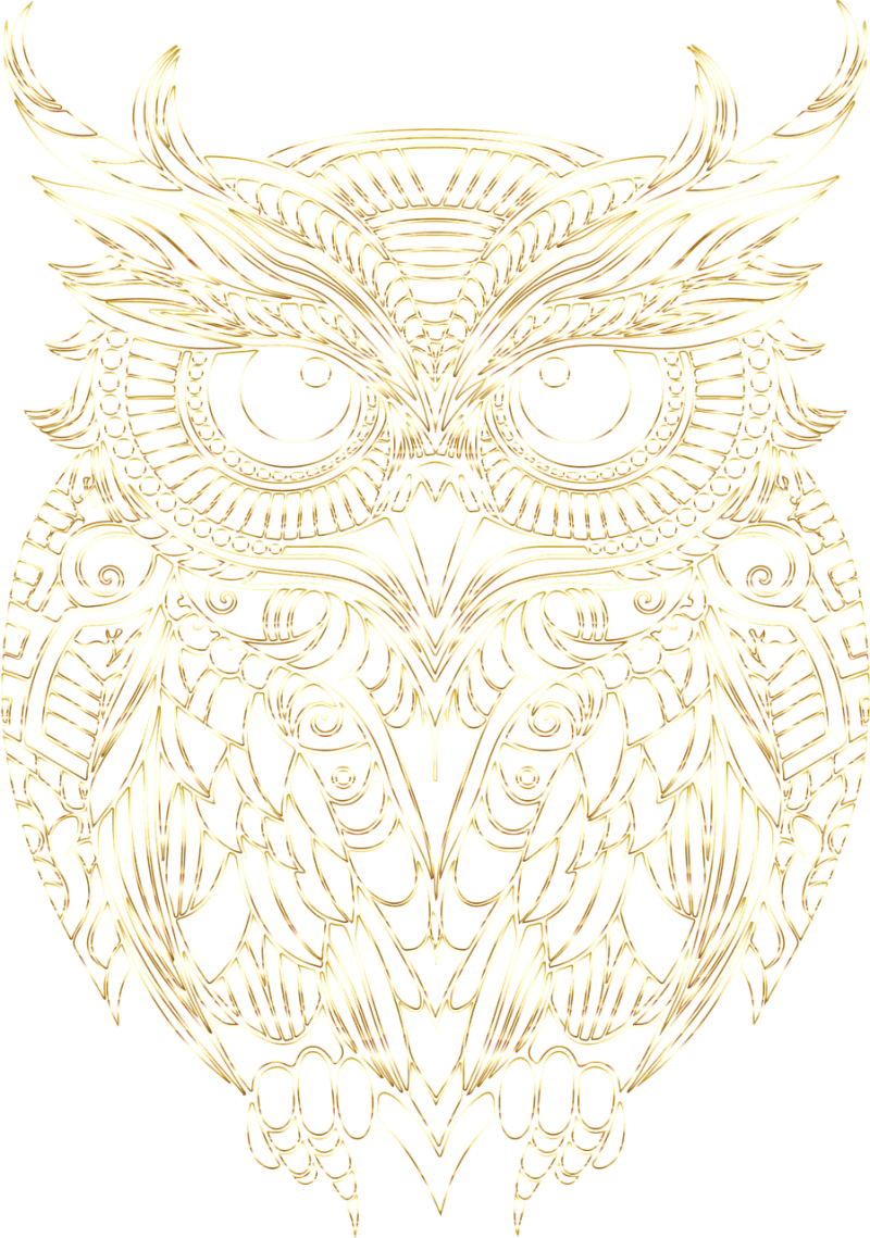 Owl Bird Animal Stickdatei – Tiere