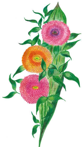 Gerberas Bouquet Flowers Stickdatei