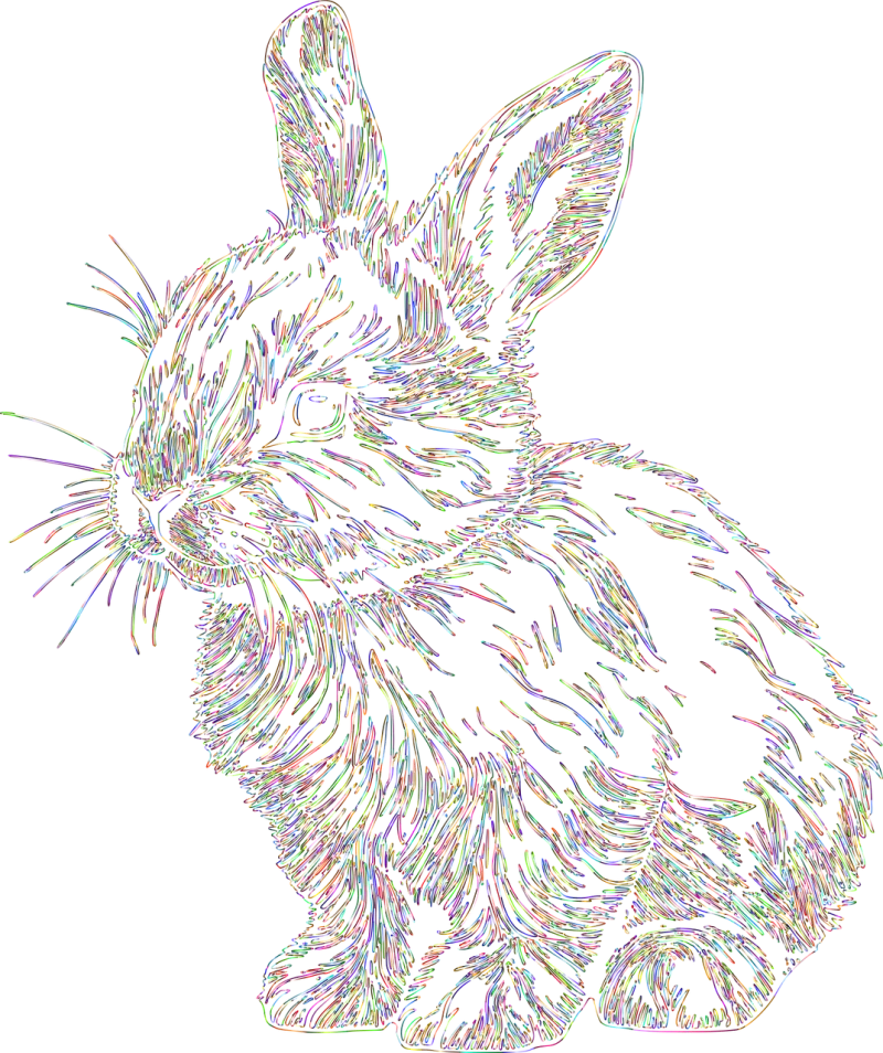 Bunny Rabbit Animal Stickdatei – Tiere
