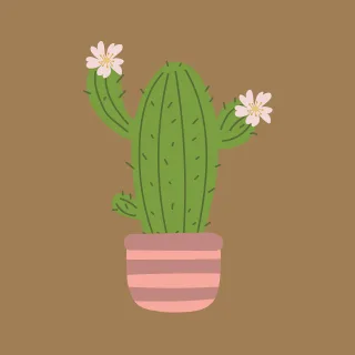Plant Cactus Flower wallpaper Stickdatei