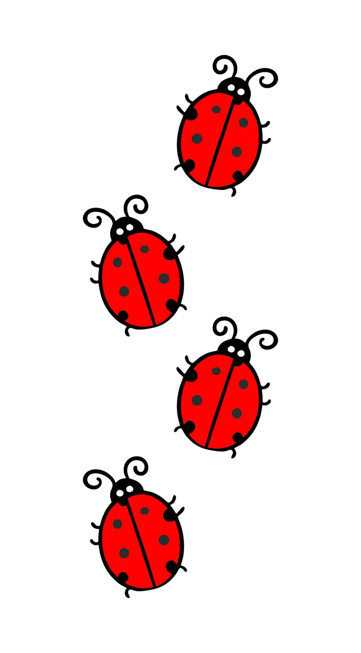 Ladybug Red Black Stickdatei – Tiere