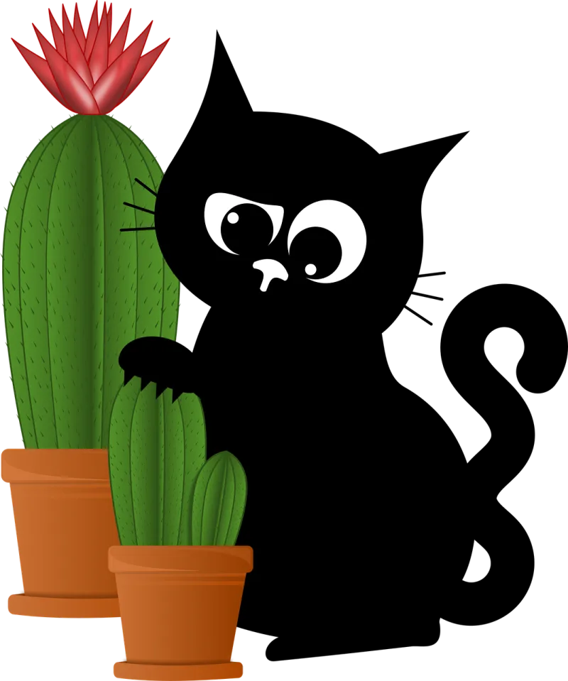 Cat Cactus Nature Stickdatei – Natur