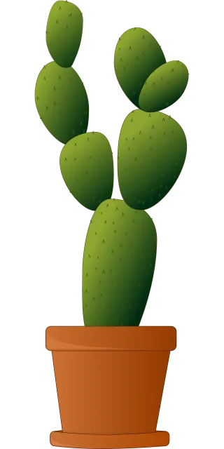 Cactus Plant Potted plant Stickdatei